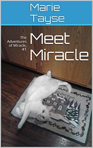 kindle edition meet miracle